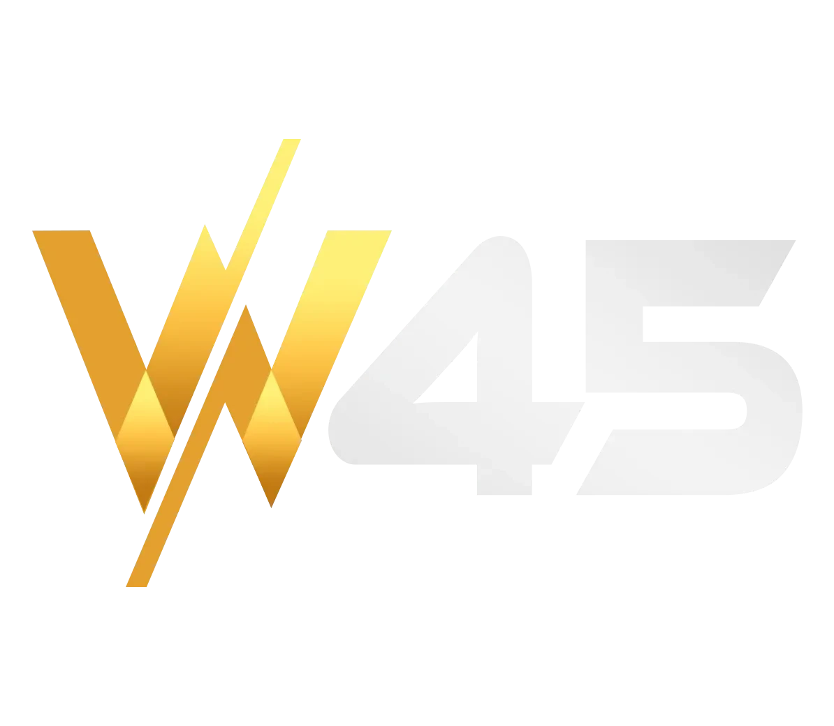w45 logo